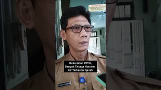 Rekrutmen PPPK Banyak Tenaga Honorer K2 Terbentur Ijazah [upl. by Ilarrold726]