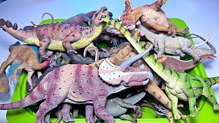 My CollectA Herbivorous Dinosaurs Collection [upl. by Retxed]