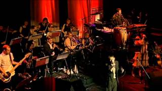 The Divine Comedy  The certainty of chance 0719 Live  The London Palladium [upl. by Norahs403]