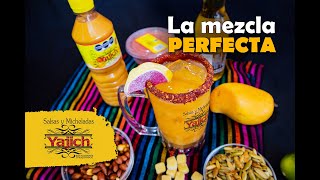 Yajich  Michelada Mango [upl. by Ethbun418]