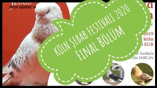 ŞEBAB FESTIVALI KÖLN 2020 4 Bölüm Final  Mezat ve En iyi Kuş Sergisi [upl. by Geldens]