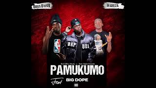 Boss Bwoy  x  M Geeza  ft  Big Dope  Pamukumo Official Audio [upl. by Bertelli487]