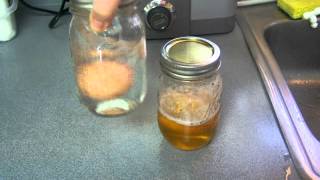 Vinegar vs Citric Acid Egg Experiment 1 [upl. by Wardlaw739]