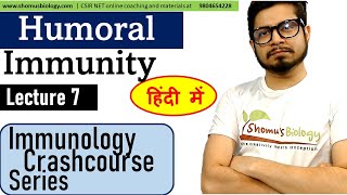 Humoral immunity in Hindi  Immunology lecture 7 [upl. by Gnuy77]