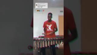 Killer T Hakete Marimba Coverby Trancer Mk zim africanmusic music zimcelebs zimtalent [upl. by Gloriane]