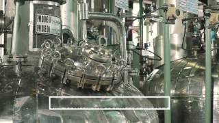 cGMP Manufacturing in Panoli India [upl. by Hagen]