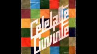 CELELALTE CUVINTE  I  ALBUM  1987 [upl. by Pulling532]