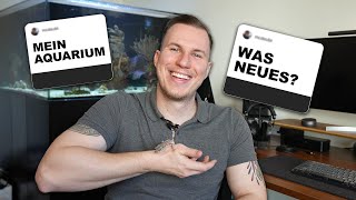 Persönliche Fragen an Tobias Neyer  Mein Aquarium Business neue Ideen [upl. by Ainezey455]