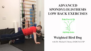 Advanced Spondylolisthesis Low Back Exercises  The Weighted Bird Dog [upl. by Medlin]