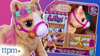 FurReal Cinnamon My Stylin Pony from Hasbro Review [upl. by Jegger]