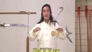 Taizu Changquan Subtitled 英文字幕太祖長拳 Shaolin Longfist [upl. by Alasteir497]