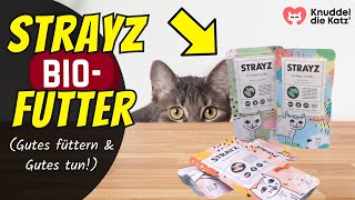 STRAYZ BioKatzenfutter  Ist es wirklich SO gut 👀 [upl. by Ayoj]