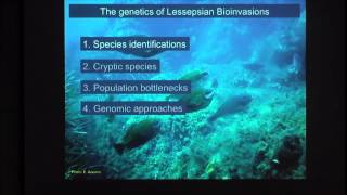 Dr Giacomo Bernardi presents quotThe genetics of Lessepsian bioinvasionsquot [upl. by Waring]