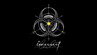 INNERSECT OFFICIAL RECAP 2017 [upl. by Nilauqcaj]