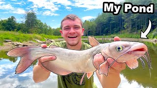 Catching Catfish to Stock My Pond [upl. by Dot]