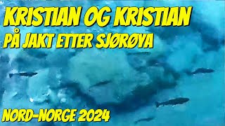 Kristian Og Kristian På Jakt Etter Sjørøya  NordNorge 2024 [upl. by Titania105]