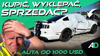 Ratujmy perełki za wszelką cenę VLOG z CENAMI AUT z Ameryki  z kamerą na IAAI Jacksonville [upl. by Vashti930]