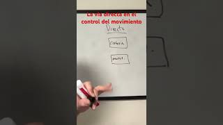 Via Directa El control del movimiento via directa  vía indirecta dopamina GABA [upl. by Esiuqram971]