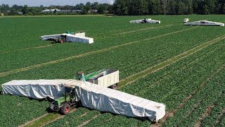 How American Farmers Harvest Thousands Of Tons Of Agricultural Products  American Farming [upl. by Etteinotna128]