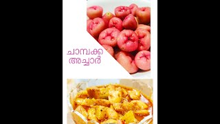 How to make Champaka Achar  ചാമ്പക്ക അച്ചാർ  Malayalam [upl. by Naerda]