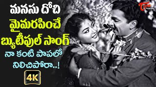 Krishna Kumari ANR Top Hit Song  Na Kanti Papalo Song with 4K  Vagdanam Movie  Old Telugu Songs [upl. by Kindig]