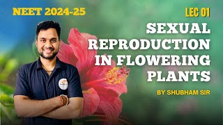 quotSexual Reproduction in Flowering Plants Process Stages and Importance Explainedquot  NEET Lec 01 [upl. by Naillik]