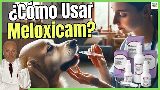 🔴 MELOXICAM PARA PERROS DOSIS ¿PARA QUE SIRVE Y PRECIO 🔴 [upl. by Eldred]