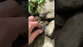 🤯💎 Digging For Crystal In Mud💎🤯 gems crystalhunting nature [upl. by Enaj]