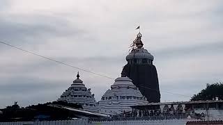 jagannath Puri Yatra  Jagannath Dham  jagannath puri mandir Inside the worlds most Extravagant [upl. by Meuse]