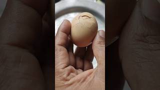 egg poch cooking 😋shorts foodie asmr mukbang [upl. by Yhtac535]