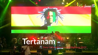 Tertanam  Tony Q Rastafara BigBang 2019 [upl. by Bowman]