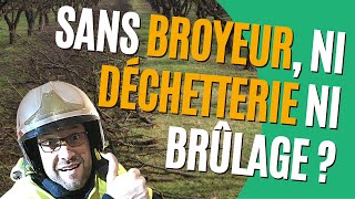 Que faire des grosses Branches au jardin [upl. by Llenet]