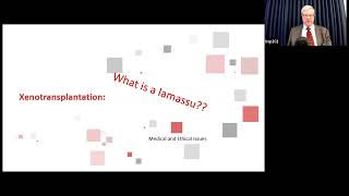 What is a Lamassu Xenotransplantation Medical and Ethical Issues [upl. by Nelav]