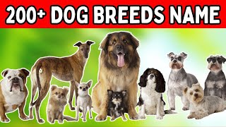 200 Different Types Of Dog Breeds Part 1 [upl. by Anesuza487]