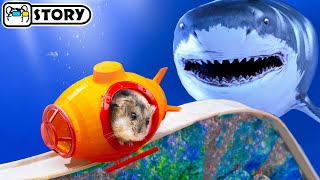 Hamster Escapes the Underwater Roller Coaster in the Pool Maze 🐹 Homura Ham Pets [upl. by Atwekk345]