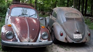 1955 Barn Find amp Yard Find Vw Beetle Update [upl. by Ahseikan]