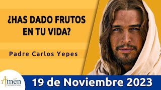 Evangelio De Hoy Domingo 19 Noviembre 2023 l Padre Carlos Yepes l Biblia l Mateo 25113 l Católica [upl. by Brass]