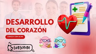 DESARROLLO DEL CORAZÓN Y EL SISTEMA CIRCULATORIO [upl. by Jessey]