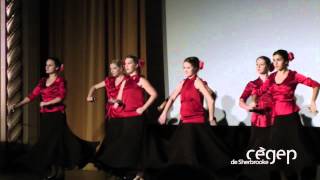 Spectacle de flamenco par la troupe de Danse du Cégep de Sherbrooke  Soirée AutomnArt 2012 [upl. by Godric]