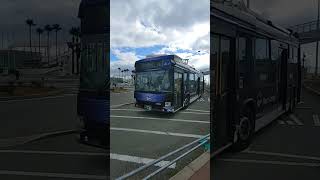 神戸・三宮Loop Busが走っている連接バス神姫バスLoop [upl. by Rik]