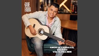 Amor de Carnaval Solidão Volta pra Mim [upl. by Anirahs]