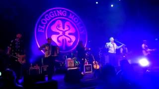 Flogging Molly  This Present State of Grace [upl. by Ayenat165]