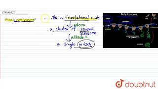 What is polyribosome  11  CELL  AS THE BASIC UNIT OF LIFE  BIOLOGY  SANTRA PUBLICATION [upl. by Salim]