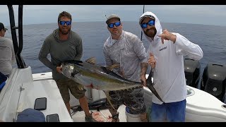 FISHING FOR BIG BAHAMAS YELLOWFIN [upl. by Joliet107]