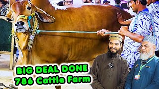 GIANT BACHRI DEAL at 786 Cattle Farm  Cattle Market Karachi [upl. by Ydnir]