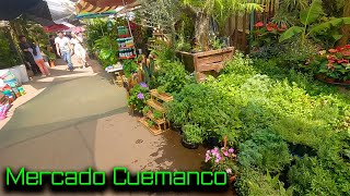 Mercado Cuemanco  Muchas plantas [upl. by Milman]