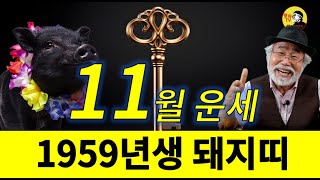 2024년 11월운세 1959년생11월운세 1959년생운세 돼지띠운세 이달의운세 11월 [upl. by Ardenia]