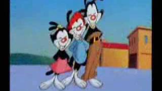 animaniacs theme only yakko [upl. by Holzman736]