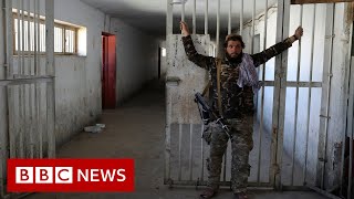 Life under Taliban rule one month on  BBC News [upl. by Iny]