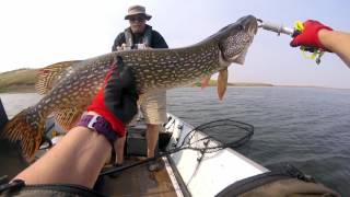 Pike Fishing  Carolside Dam Alberta  19Jun17 [upl. by Melton]